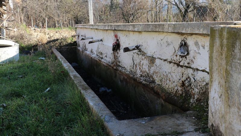 Sakarya'daki mahallelinin doğal kaynak suyu kurudu