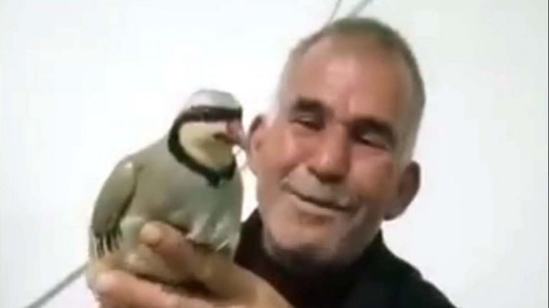 Gaziantep'te akıma kapılarak hayatını kaybetti