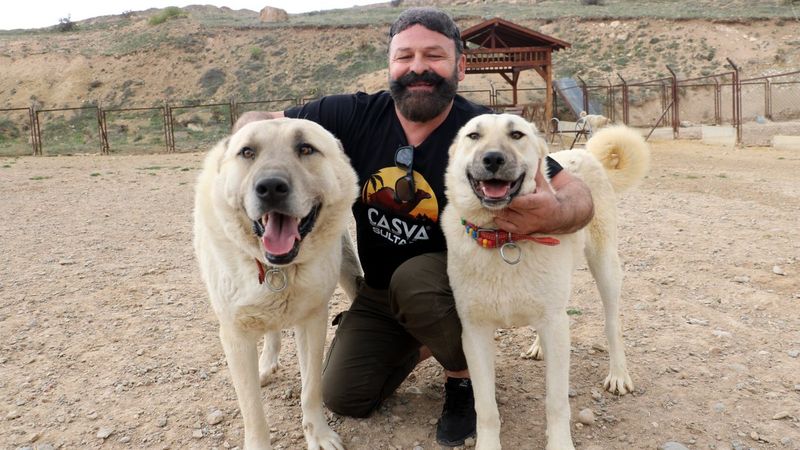 Kangalların başka ırklarda olmayan, karakteristik özelliği: Aile içi çiftleşme yok