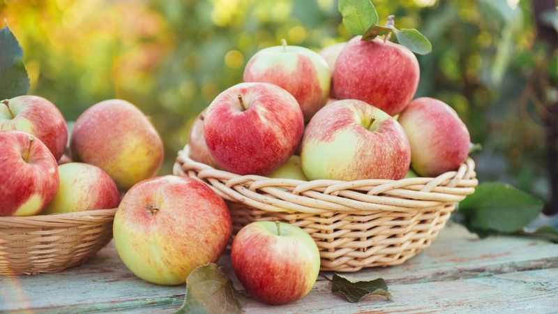 Elmanın sağlığa 10 şaşırtıcı faydası