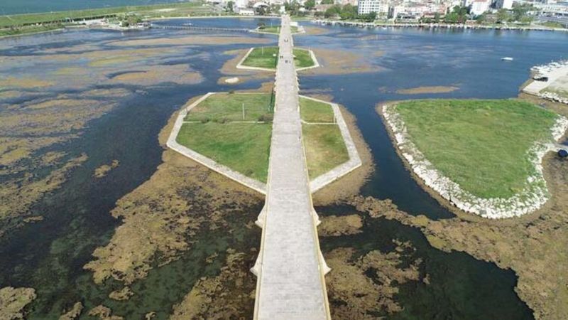 Büyükçekmece Gölü'nün üzerini yosun kapladı