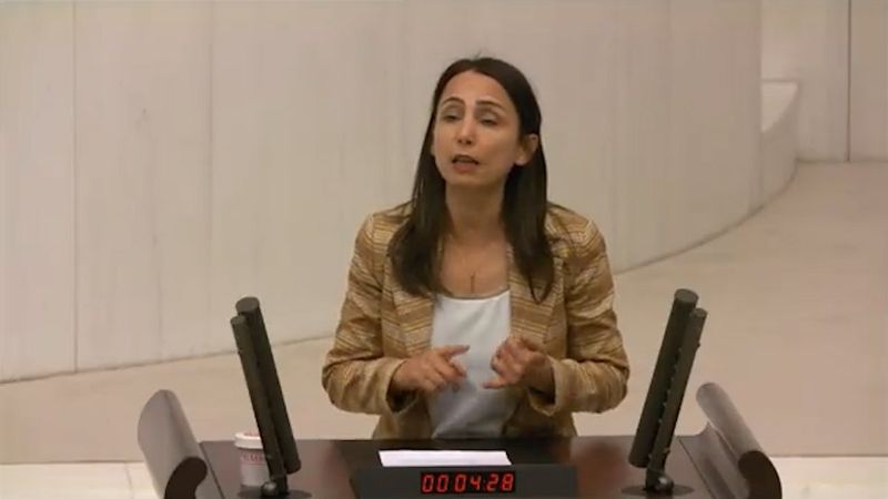 HDP'li Tülay Hatimoğulları: Suriye'deki operasyonlara son verin