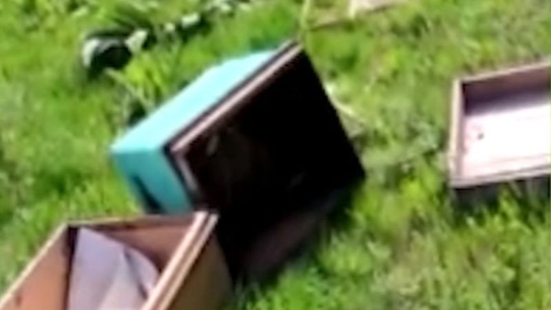 Tekirdağ’da arı kovanları tahrip edildi, genetik arı ırkları çalındı