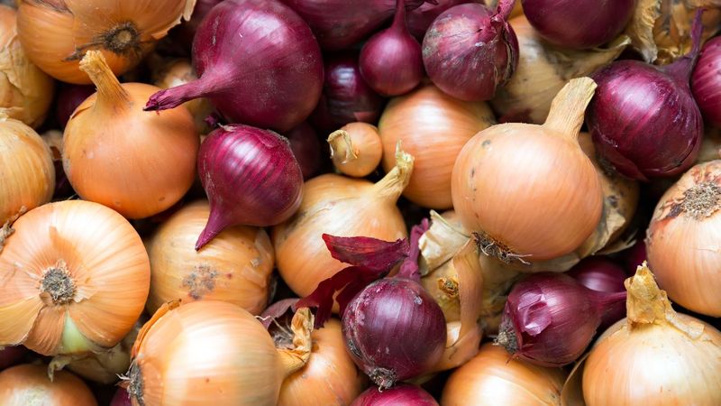 Doğal ilaç soğanı kullanmanın 7 farklı yolu