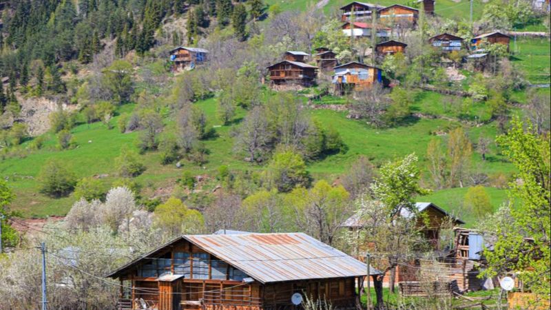 Şavşat'ta ilkbahar manzaraları nefes kesti