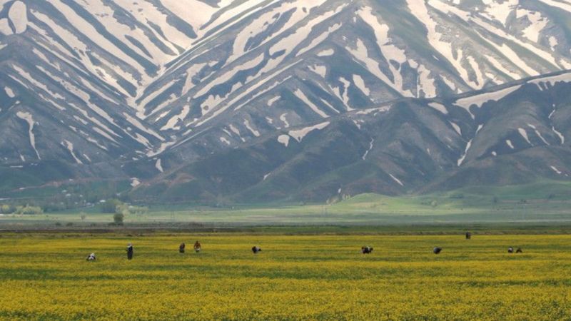Yüksekova'ya bahar geldi
