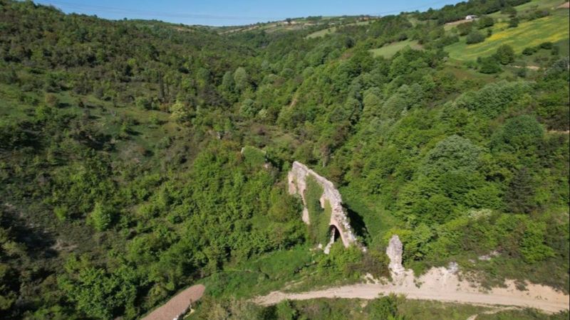 Kocaeli'de tarihi su kemeri orman içerisinde kaldı