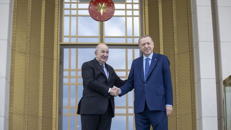 Cezayir Cumhurbaşkanı Tebbun, Ankara'da