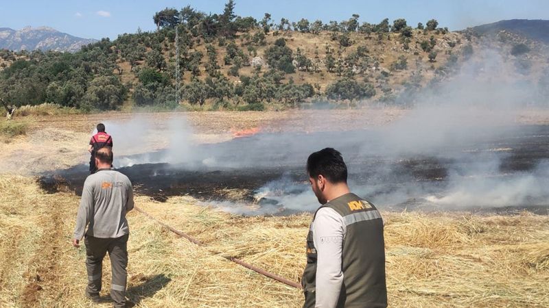 Milas'ta otluk yangını