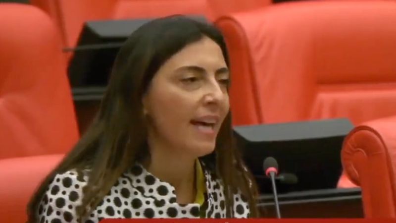 CHP'li vekilin TBMM'de Aynur Doğan protestosu