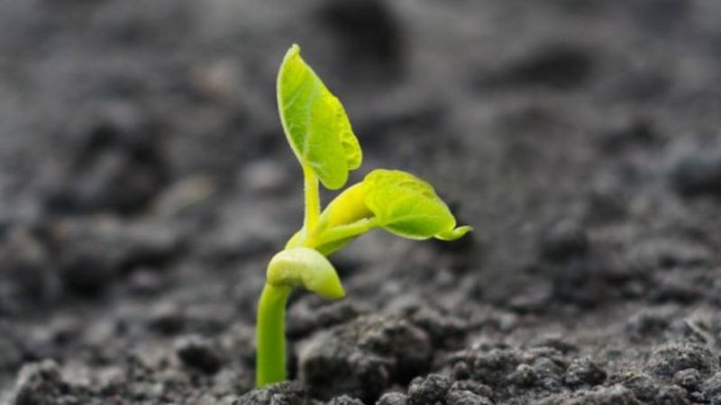 2022 Filizkıran Fırtınası nedir, ne zaman başlar ve biter?