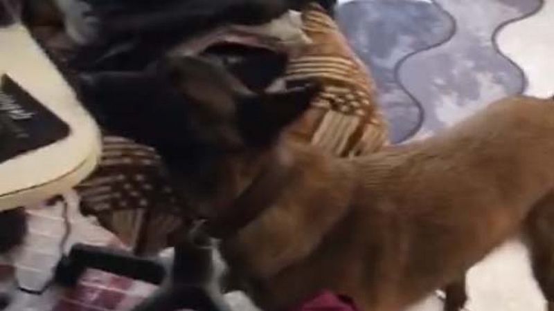 Çanakkale merkezli 3 ilde uyuşturucu operasyonu