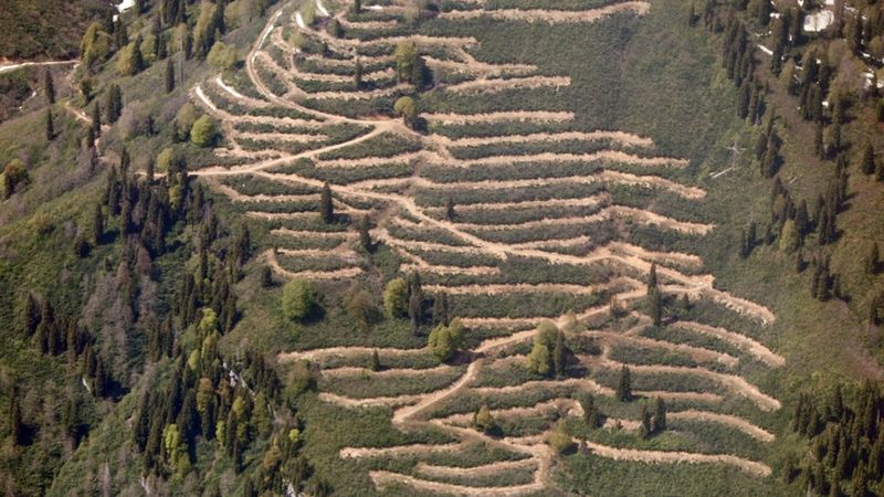 Doğu Karadeniz'deki zorlu yolların görüntüsü helikopterden çekildi