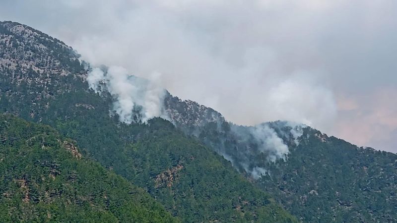 Antalya'da orman yangını çıktı