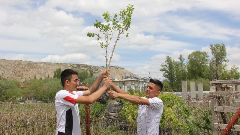 Sivas'ta ölen babası için meyve ağaçları ekti