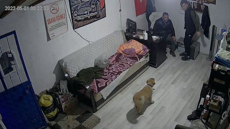 Afyonkarahisar'da köpek havlaması paniğe sebep oldu
