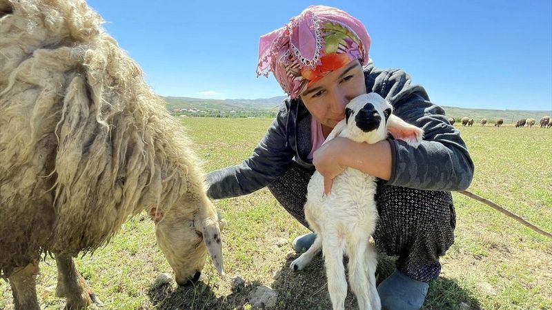 Elazığ'da devlet desteği ile sürü sahibi oldu, köye yerleşti