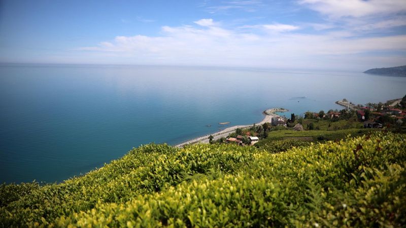 Rize Günleri'nde uzaya çay gönderilecek