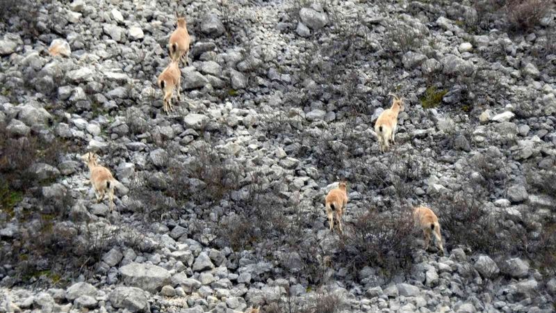 Erzincan'daki Munzur Dağı güzelliğiyle büyülüyor