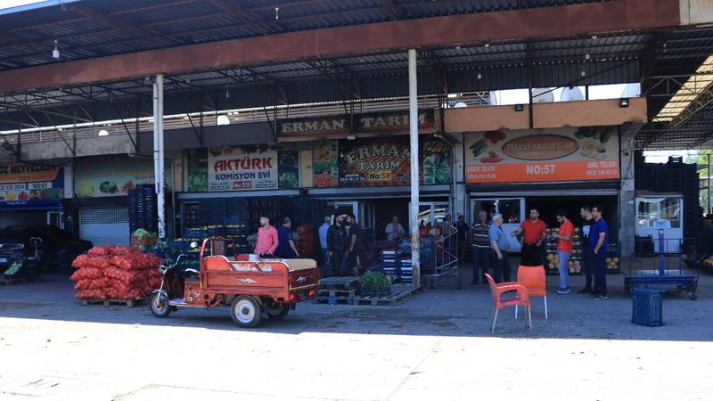 Adana'da hasat başladı: Fiyatlar yarı yarıya düşecek