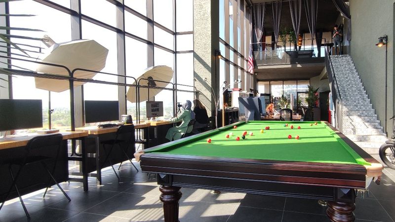 Bursa'da yırtıcı kuş, yuva yaptığı ofise yılan taşıyor