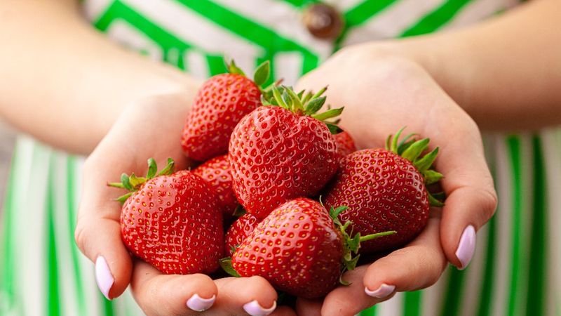 Yaşlanmayı geciktiren 10 besin