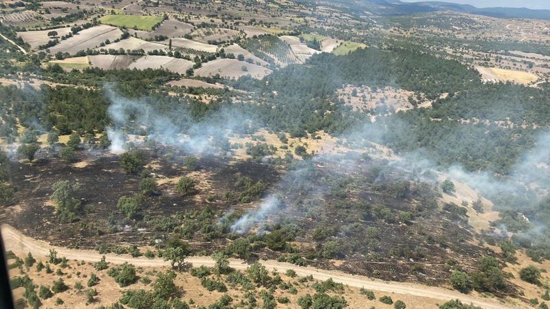 Manisa'da orman yangını çıktı
