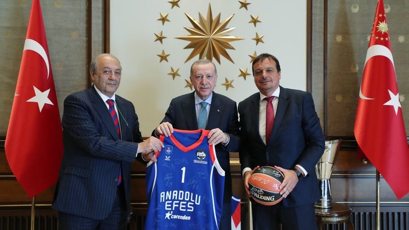 Cumhurbaşkanı Erdoğan, Anadolu Efes'i kabul etti