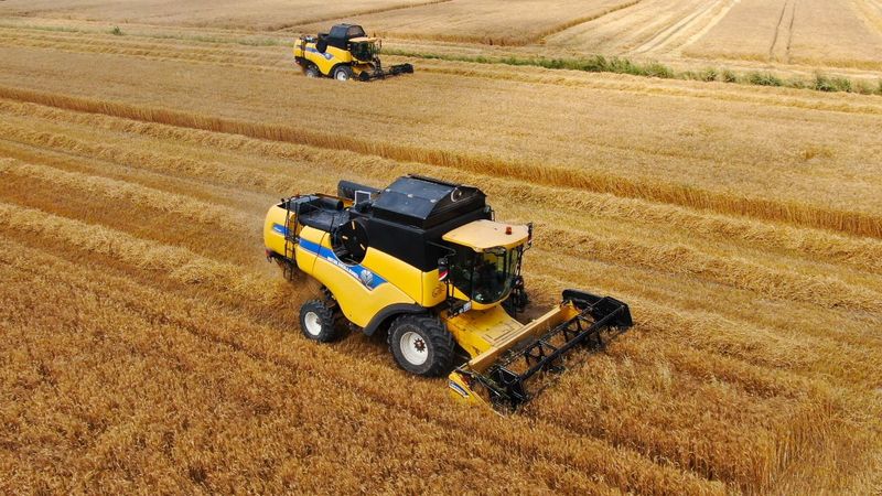 Adana'da buğday hasadı başladı