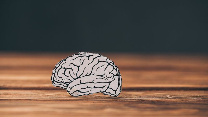 Hafızaya zarar veren 10 gıda