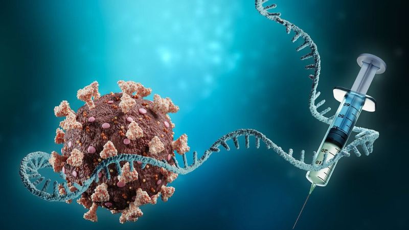 Koronavirüs aşılarının temel bileşeni mRNA nedir