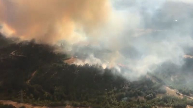 Adana'da orman yangını çıktı