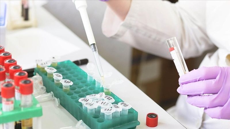 27 AB ülkesinden, maymun çiçeğine karşı aşı alma kararı