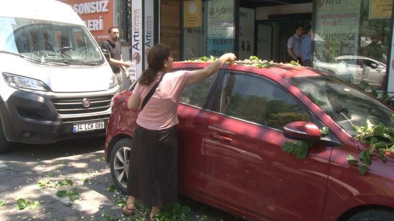 Kadıköy'de şaşırtan anlar: Aracın üzerine devrilen ağaçtan dut topladılar