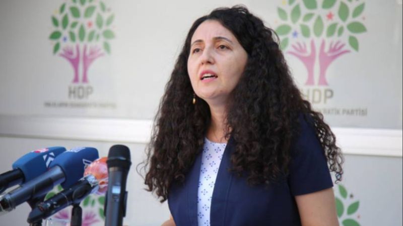 HDP'li Ebru Günay: TSK'nın operasyonları soykırım