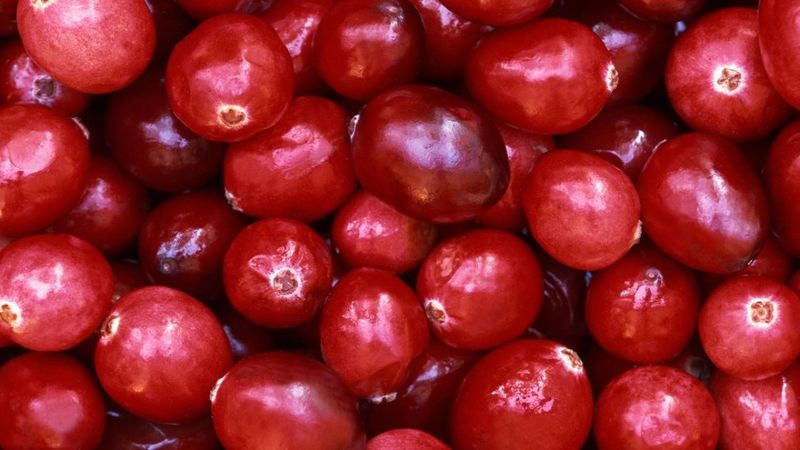 İdrar yollarına birebir, enfeksiyonu bitiyor! 1 bardağı bile yetiyor...