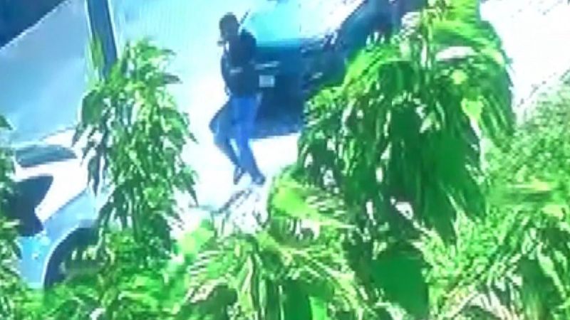 İran'daki mehir meselesi, İstanbul'da kanlı bitti