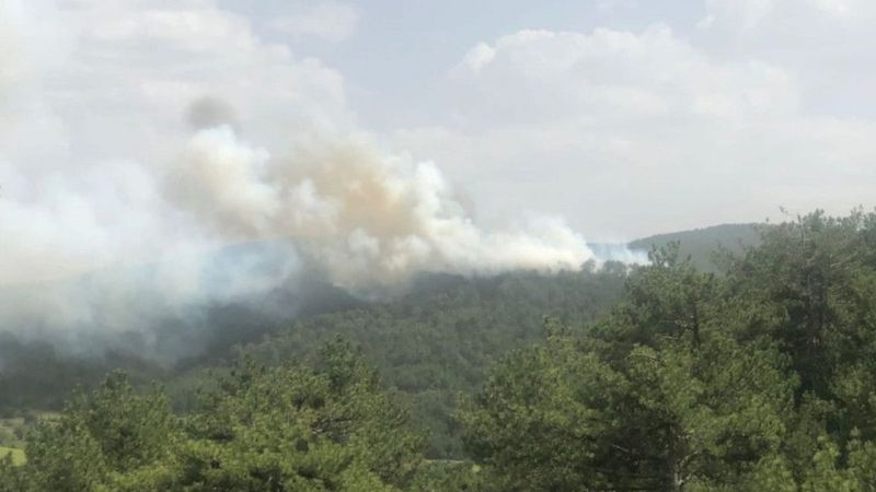 Bolu'daki orman yangınına müdahale sürüyor