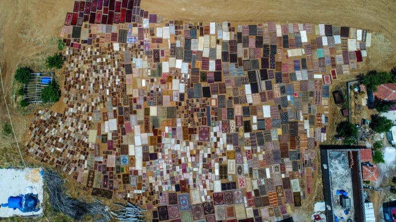 Antalya'nın 'halı tarlaları'nda renkli telaş başladı