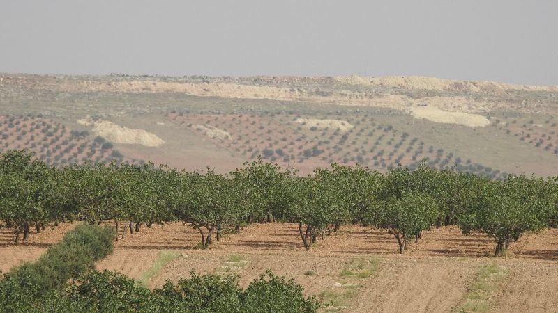Türkiye'nin operasyon sinyali sonrası teröristler kaçtı