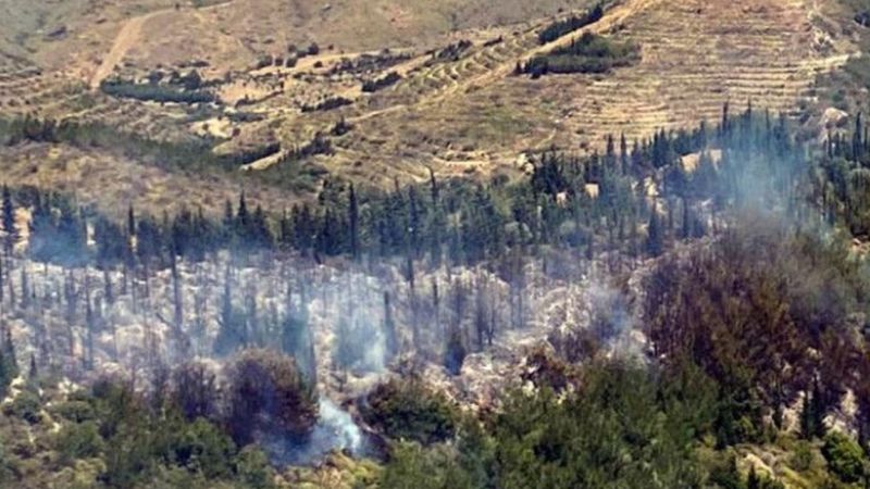 İzmir'deki orman yangınına müdahale sürüyor