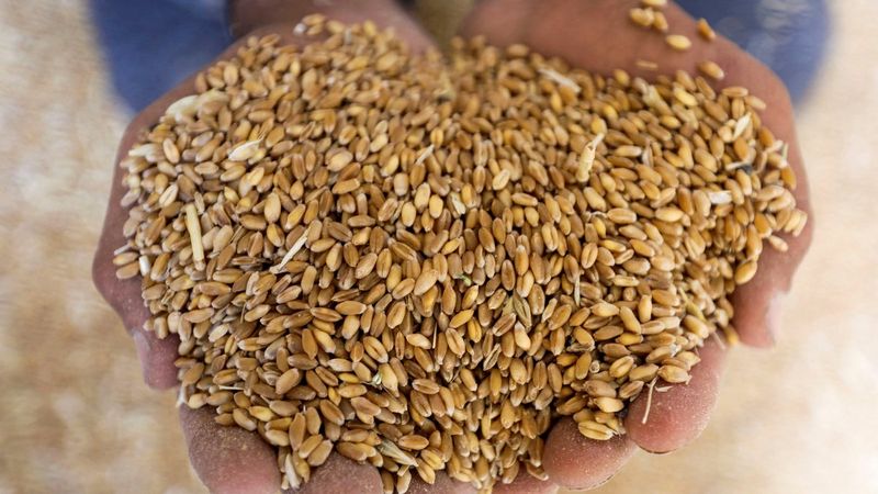 Türkiye, tahıl sevkiyatında güvenli koridor için devrede