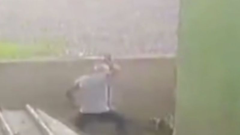 Ataşehir'de köpeği sopayla darbeden şahsa 2 yıl 6 ay hapis