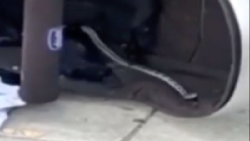 Isparta'da bebek arabasının içinden yılan çıktı