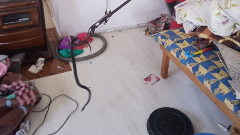 Fethiye'de eve giren yılanı itfaiye yakaladı
