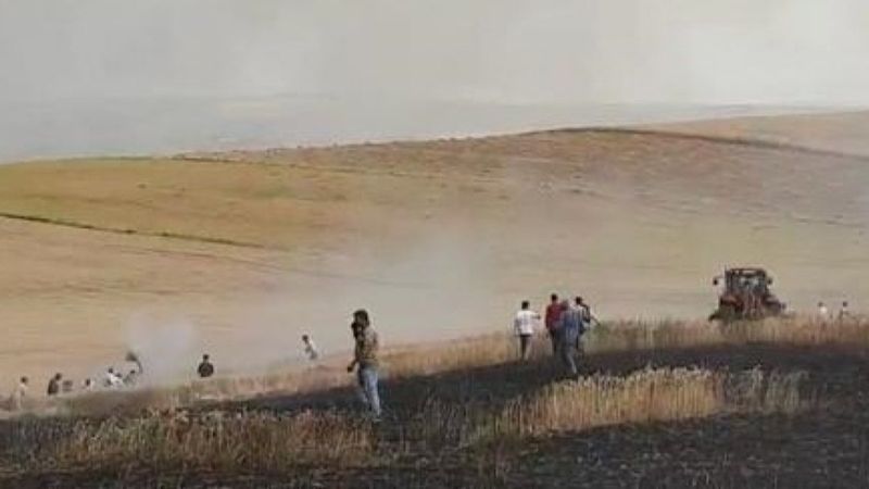 Diyarbakır'da tarlaya düşen yıldırım can aldı