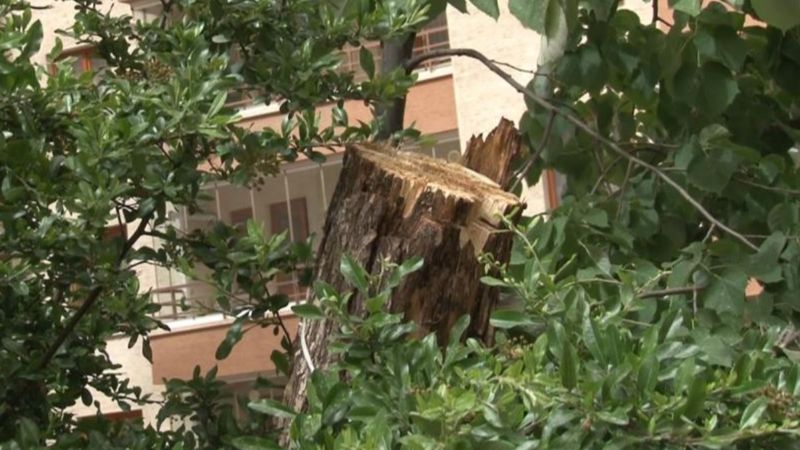 Ankara'da gece yaşanan fırtınadan geriye kalanlar