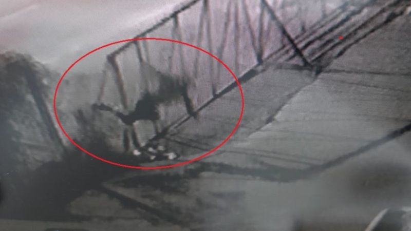 Samsun'da alkollü şahsın tel örgülerin üzerinden düştüğü anlar