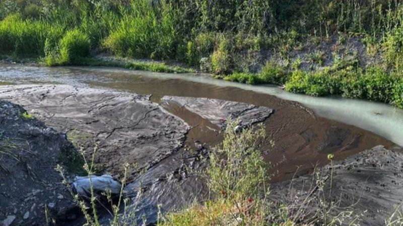 Bakırçay Deresi'ni kirleten firma, faaliyetten men edildi