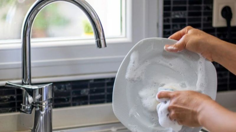 Bulaşık süngeri tehlikesi: Tüm insanlardan daha fazla bakteri içeriyor